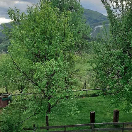 Dom wakacyjny Kuca Za Odmor Kalina Mokra Gora