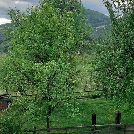Case de vacanță Kuca Za Odmor Kalina Mokra Gora