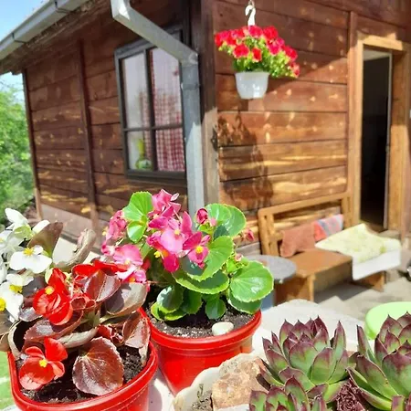 Dom wakacyjny Kuca Za Odmor Kalina Mokra Gora