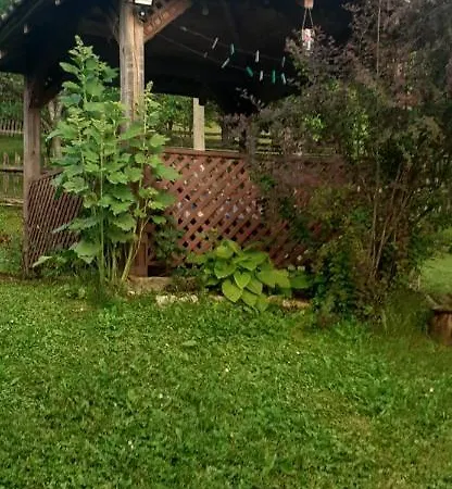 Dom wakacyjny Kuca Za Odmor Kalina Mokra Gora