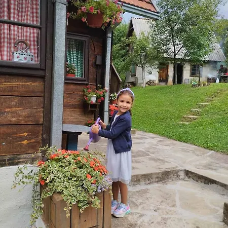 Kuca Za Odmor Kalina Case de vacanță Mokra Gora