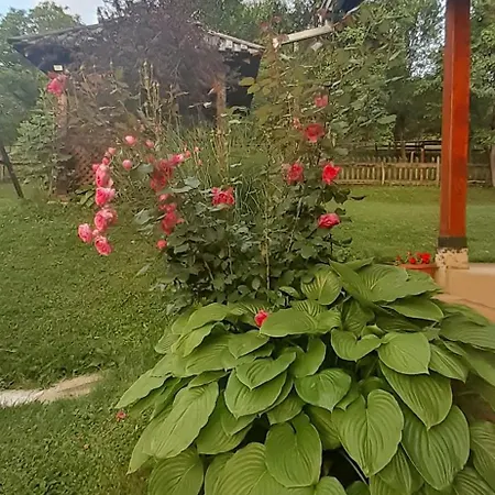 Kuca Za Odmor Kalina * Mokra Gora