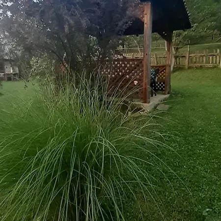 Kuca Za Odmor Kalina Mokra Gora