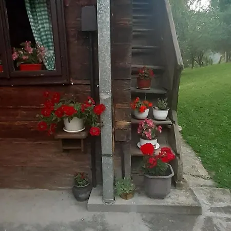 Kuca Za Odmor Kalina Mokra Gora