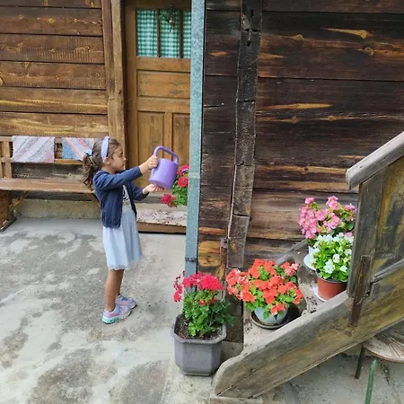Kuca Za Odmor Kalina Case de vacanță Mokra Gora