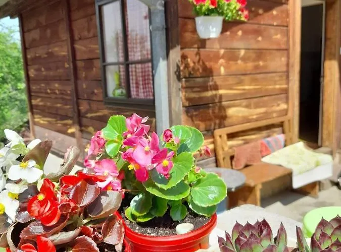 بيت للعطل Kuca Za Odmor Kalina موكرا غورا