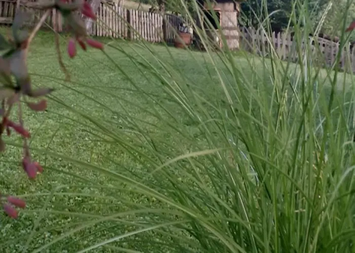 بيت للعطل Kuca Za Odmor Kalina