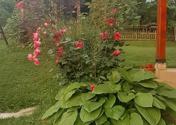 Kuca Za Odmor Kalina * موكرا غورا